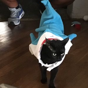 Meet your Posher, Nicolas